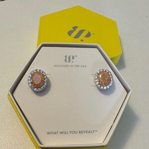 Elegant Silver and Gold Earrings